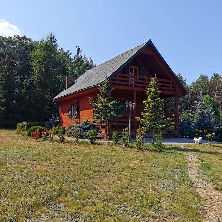 Domek Na Wsi Nad Jeziorem , Prywatny Staw Kamienczyk Dezerta Exterior foto