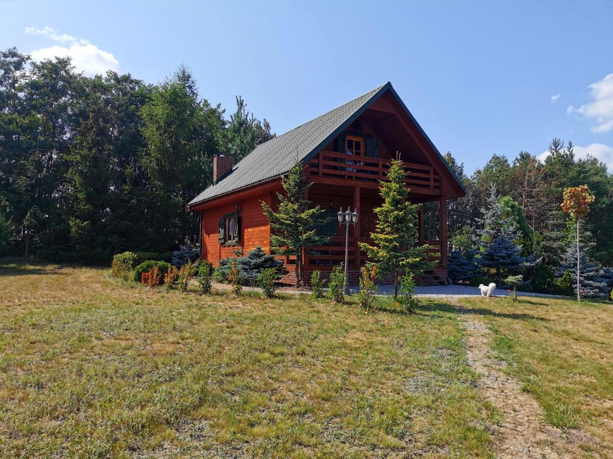 Domek Na Wsi Nad Jeziorem , Prywatny Staw Kamienczyk Dezerta Exterior foto